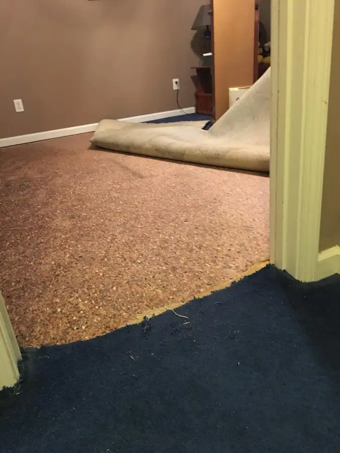 Carpet pad removal revealing water damage during Water Mitigation Services in Oil City